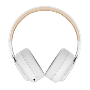 boAt Rockerz 370 Pro | Wireless Headphones with 40 Hours Playback, Voice Assistant, boAt Signature Sound, BEAST™️ Mode